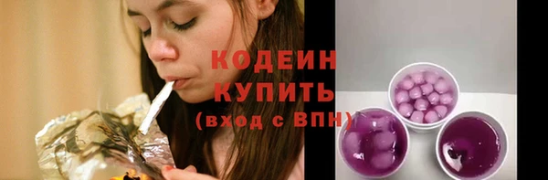 индика Каменка