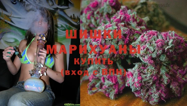 винт Алзамай