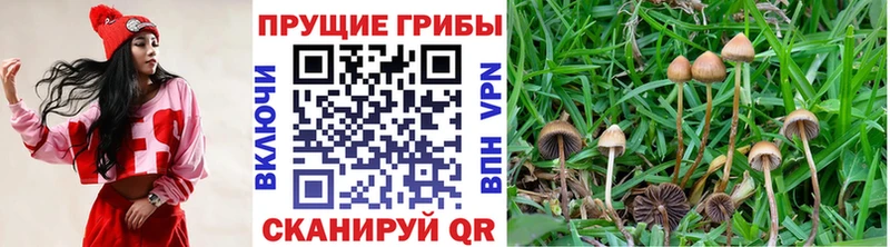 Псилоцибиновые грибы GOLDEN TEACHER  Харабали 